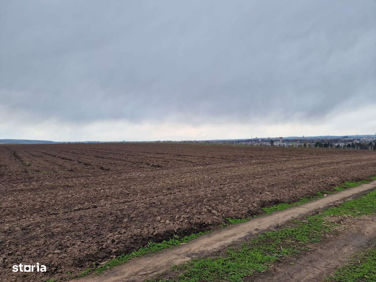 Teren 10,000mp Bacau / Strada Alexandru Safran-9
