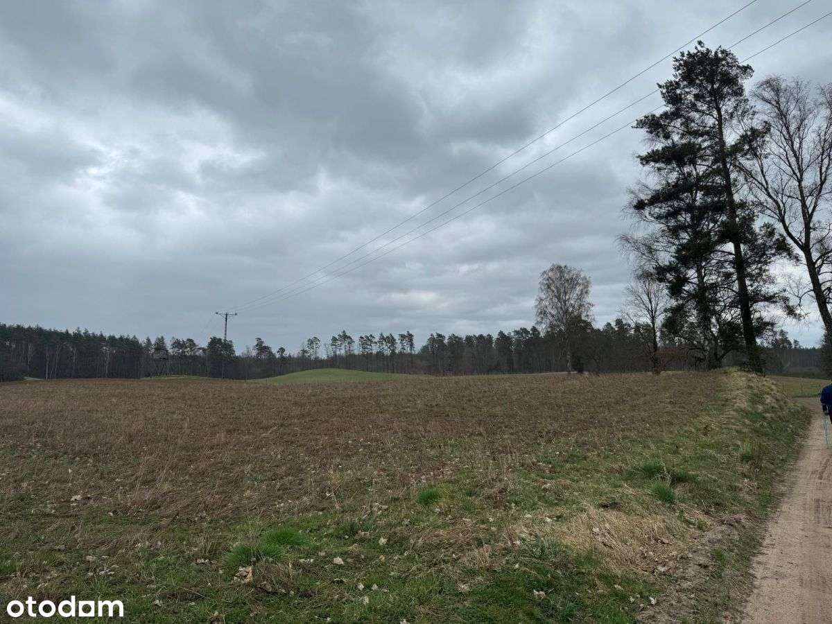 Działki mieszkaniowe-Borowiec k.Lipusza // Kaszuby-6