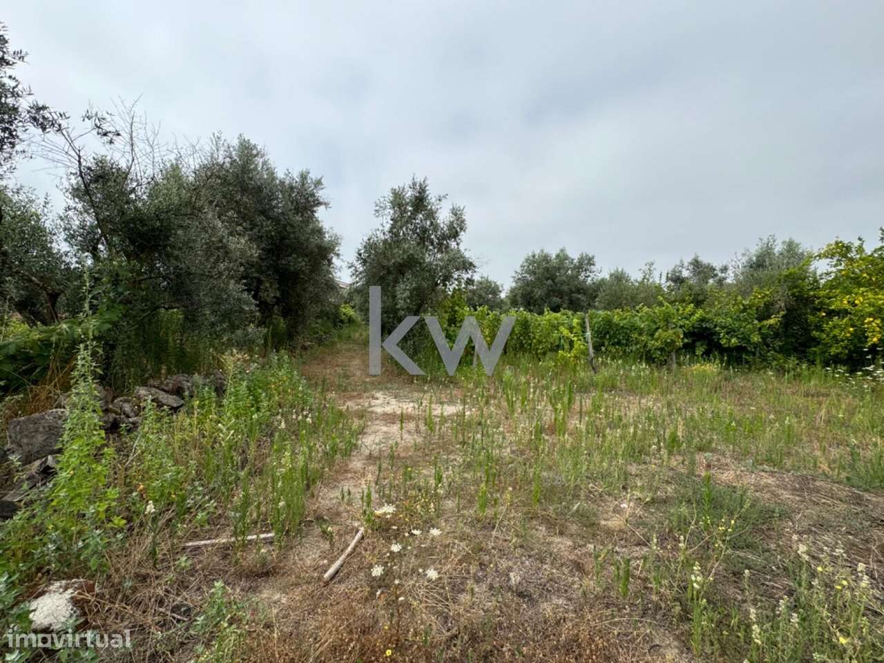 Terreno rústico para venda em Casal Jusão, Silgueiros  com 1055m2 - Grande imagem: 4/9
