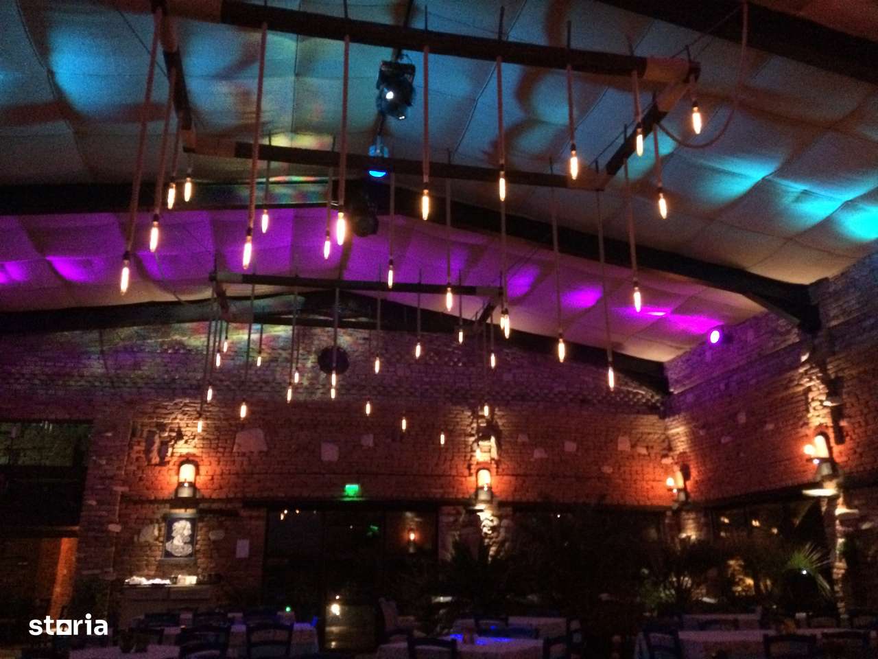 Spatiu comercial-Restaurant plaja salbatica Vadu-14