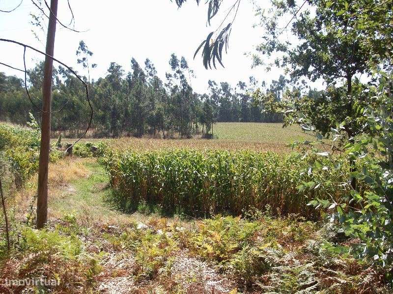 Terreno de 23.000m2, com 40% de implantação industrial na Junqueira - Grande imagem: 4/11