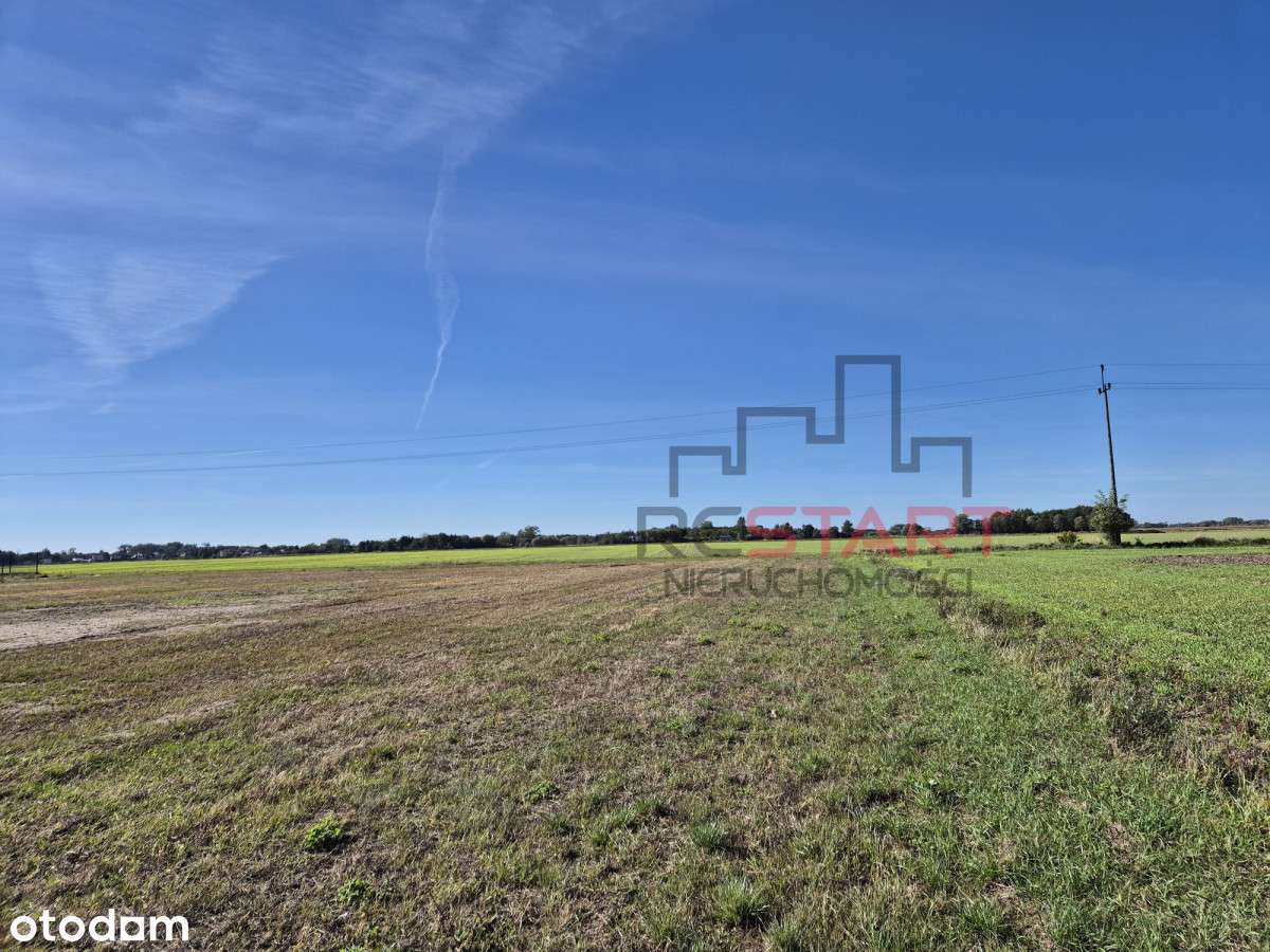 1497 m² Chyliczki | WZ | Media | 3 km Pkp - Pełny obrazek: 4/10