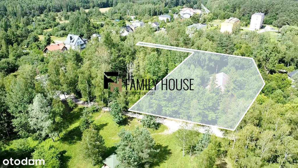 Działka budowlana 3364m2 Płaczków gm. Bliżyn - Pełny obrazek: 4/12