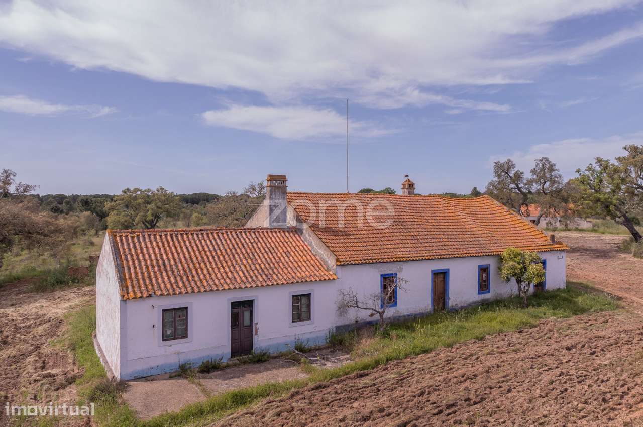 Herdade em Alvalade - Santiago do Cacém - Grande imagem: 2/22