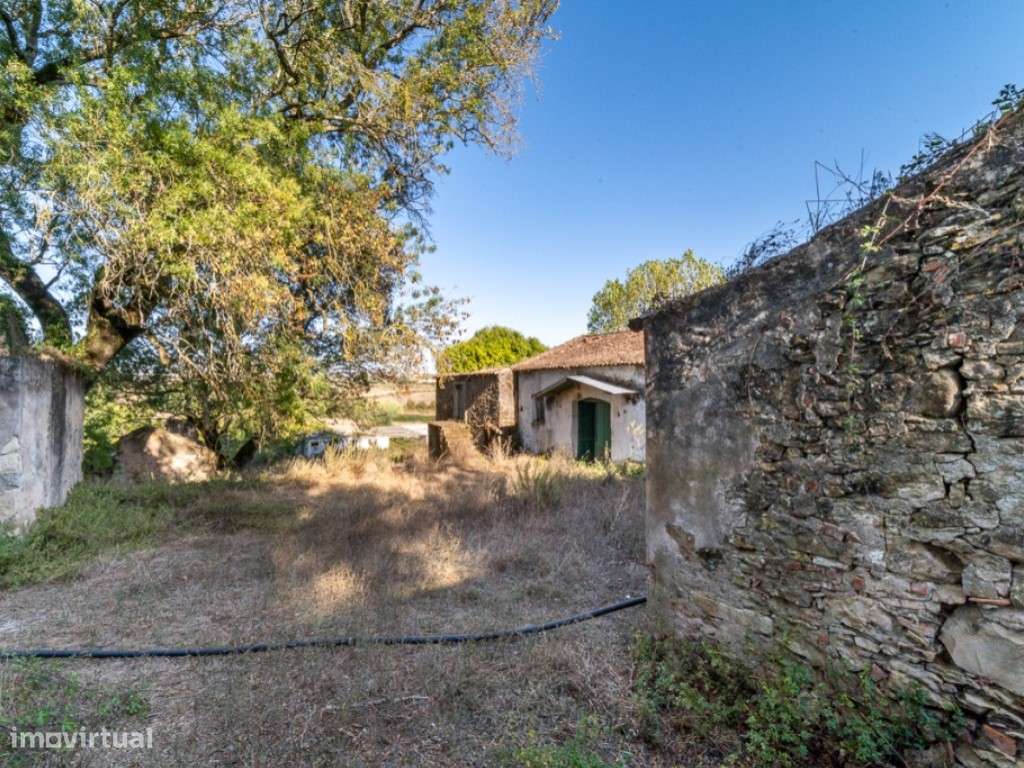 Quinta - Freiria - Sobral Monte Agraço-7