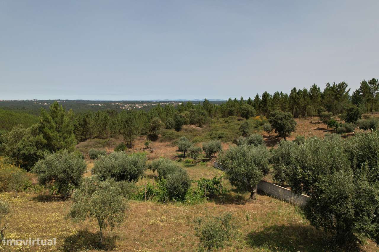 Terreno urbanizável de 4200m2, permite construção de moradia de 210m2-12