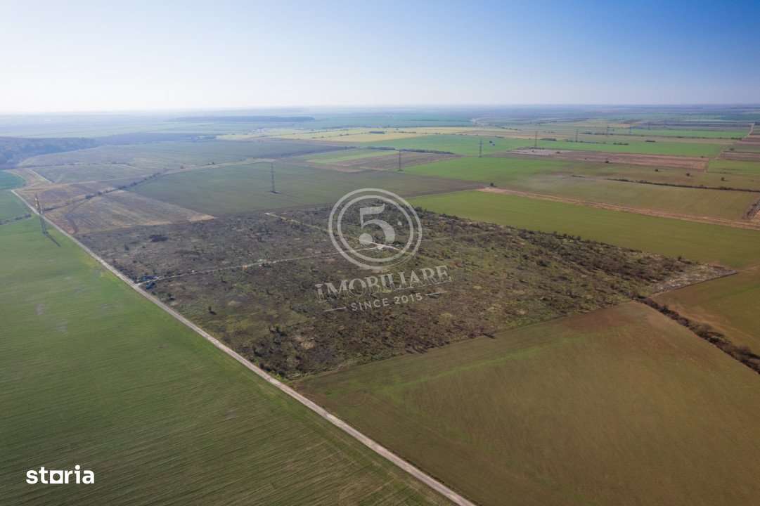 Ocazie- Teren Intravilan de Vanzare- Peris Snagov- Doar 10 euro/mp-7