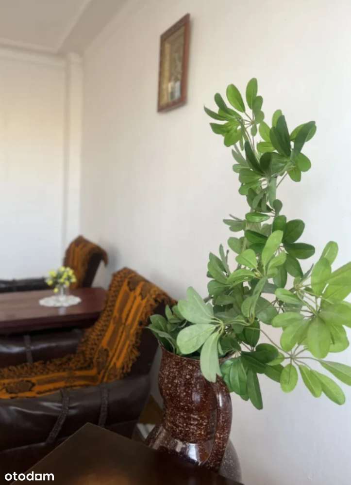 Segment 140m2, ul. Makowa, Łomża-13