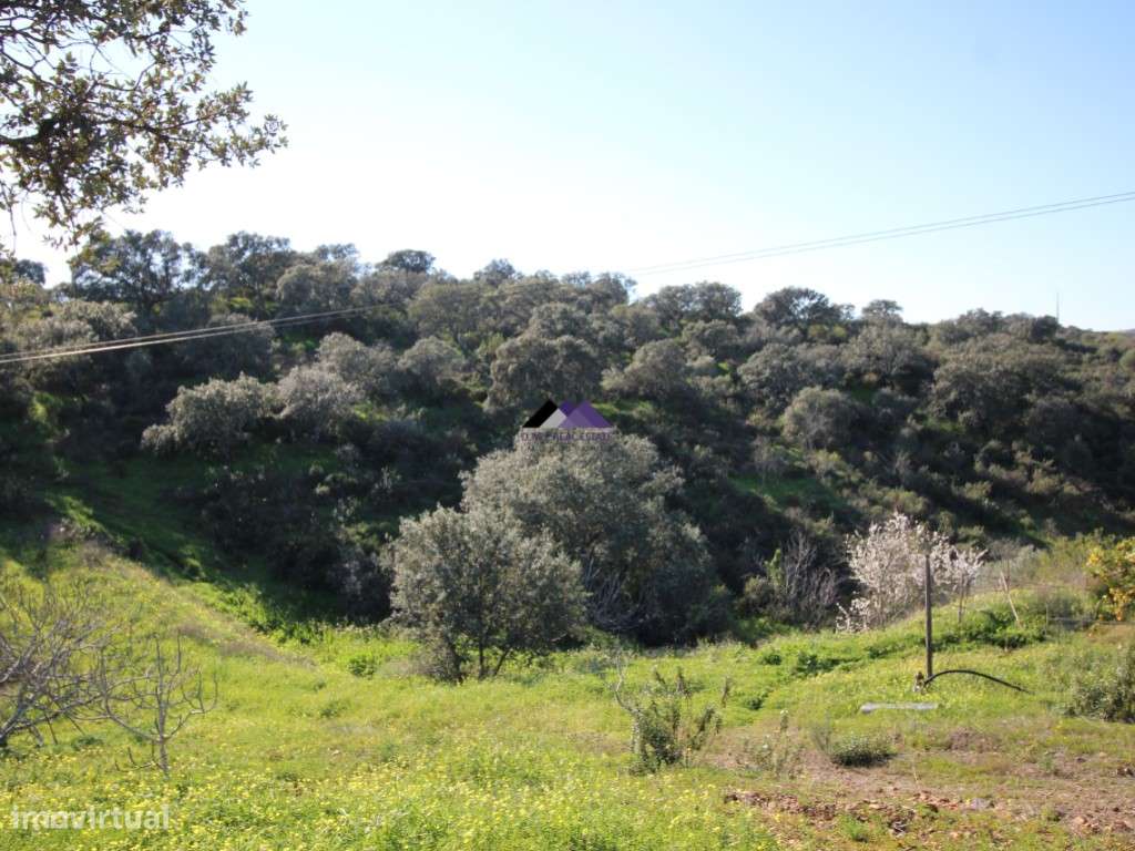 Terreno Rústico | 34.000 m² | Corga da Madeira - Junqueira, Castro ...-16