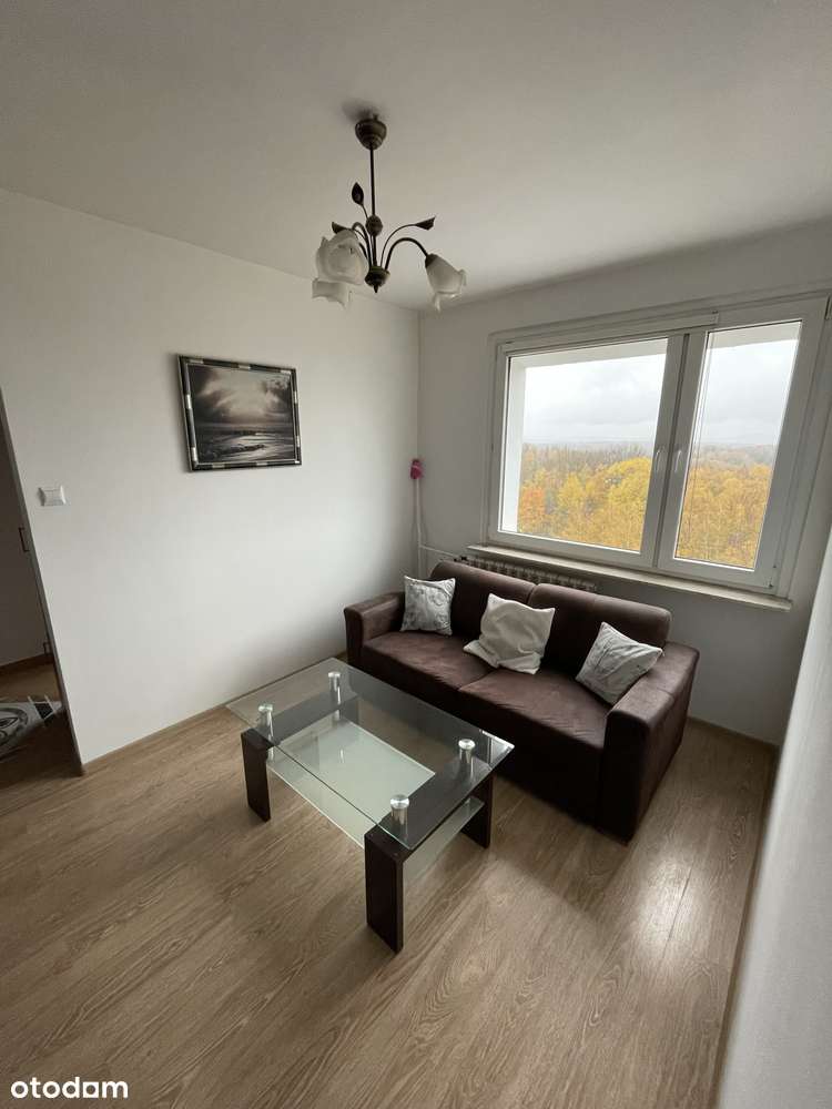 Kawalerka | 10 piętro | Bytków | brak prowizji - Pełny obrazek: 3/14