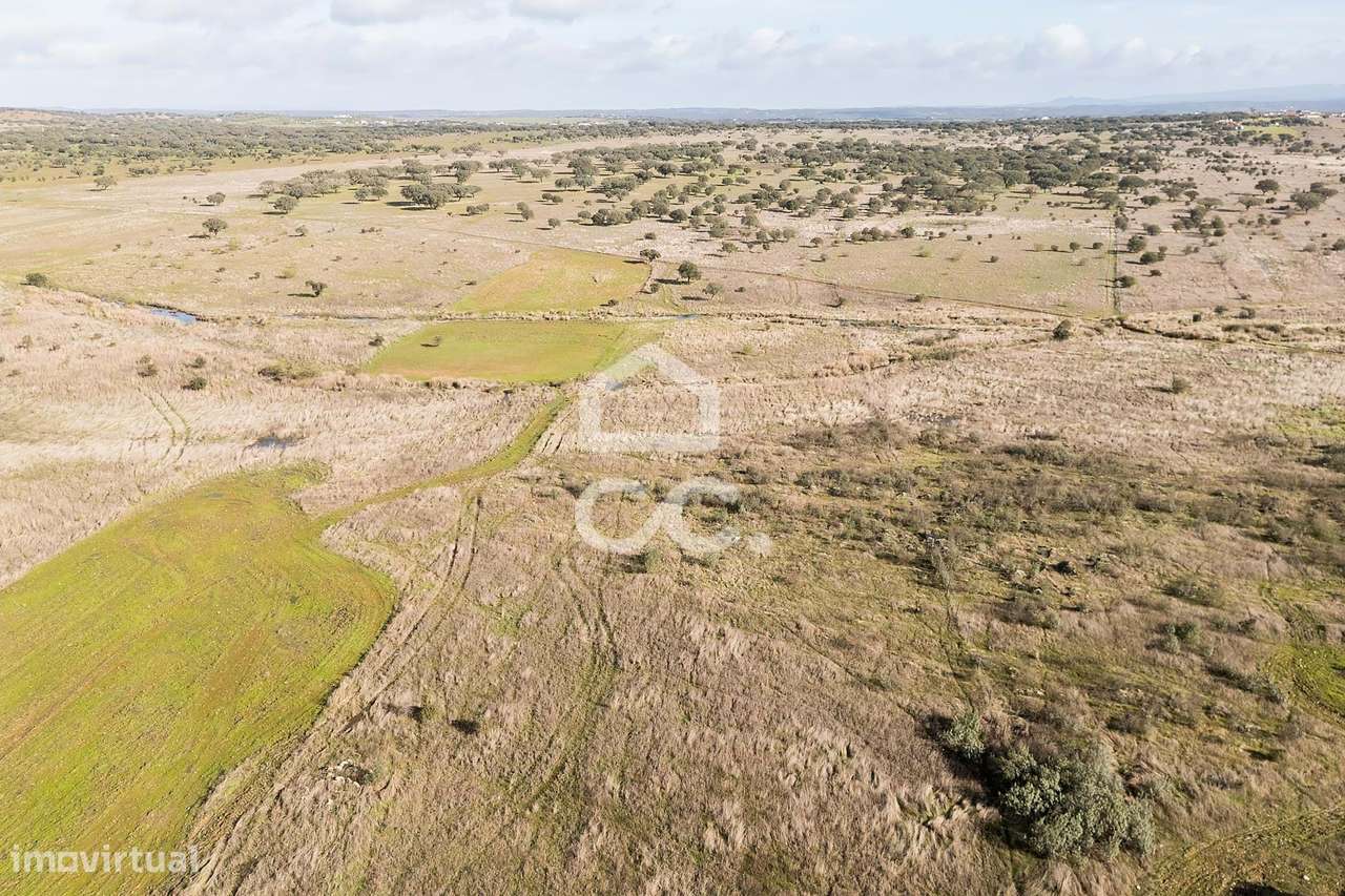 Terreno de 5,4 ha c/ Viabilidade de Construção | Capelins, Alandroal-18