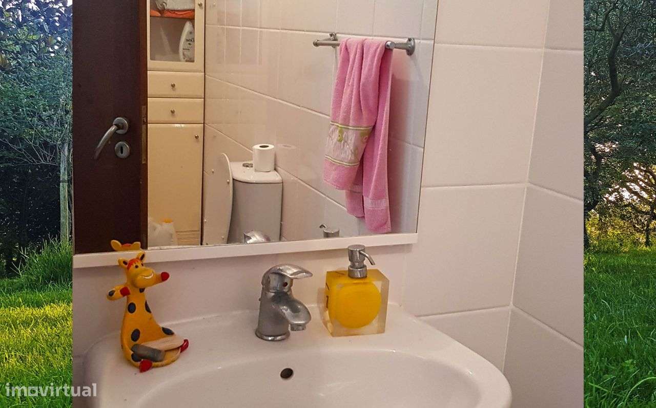 Quintinha com Mata secular-19