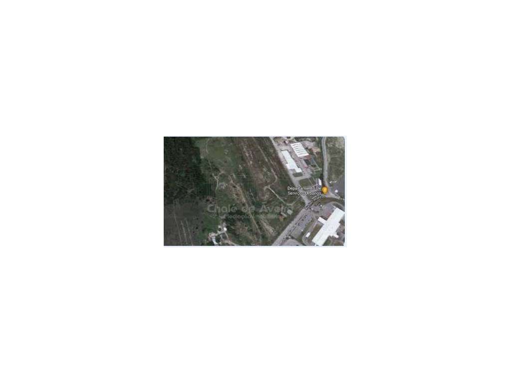 Armazém e Gabinete (Taboeira) - Grande imagem: 5/5