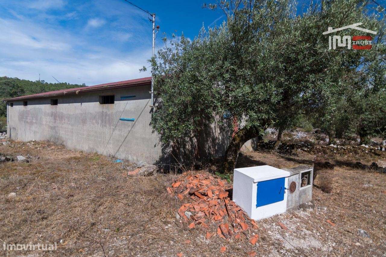 ARMAZEM COM AREA UTIL E 250 M2 LICENCIADO PARA ARMAZEM E ACTIVIDADE... - Grande imagem: 5/13