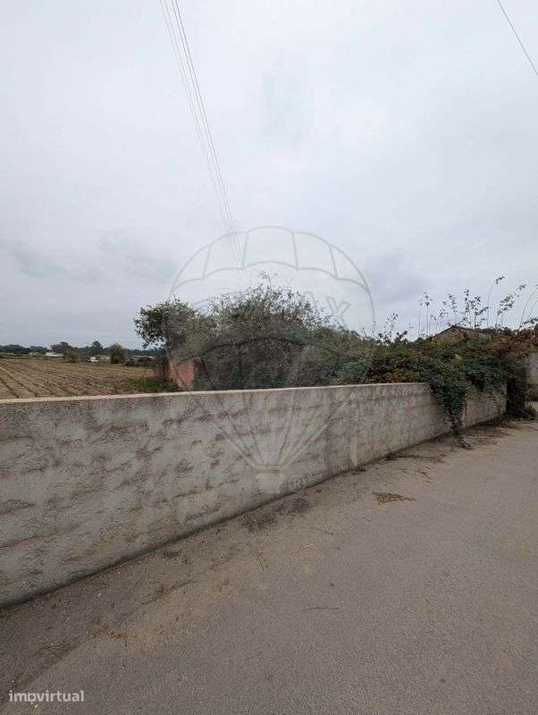 Terreno  para venda - Grande imagem: 5/7