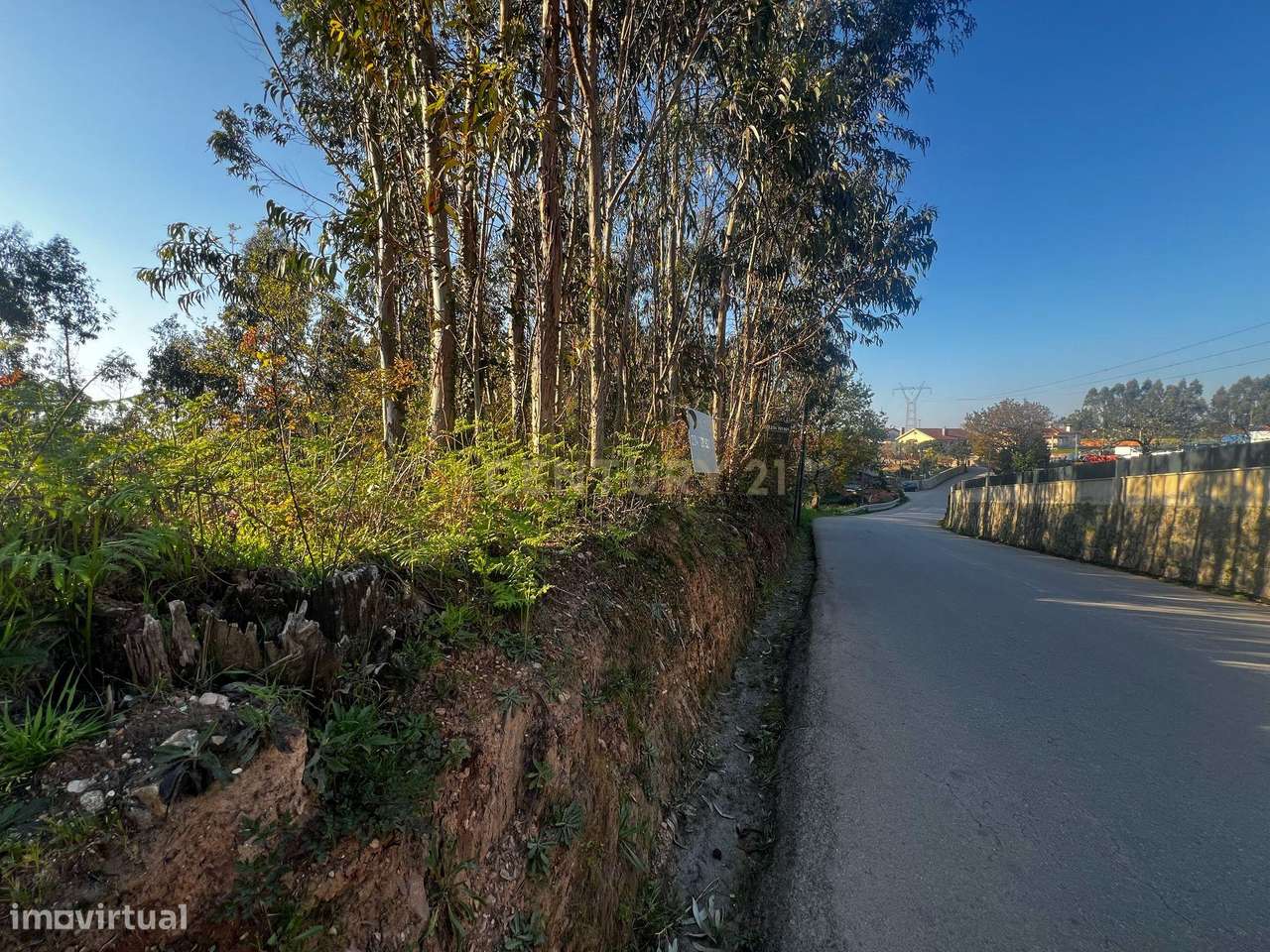 Terreno Urbanizável em Cristelo - Branca (Albergaria-a-Velha) - Grande imagem: 5/12