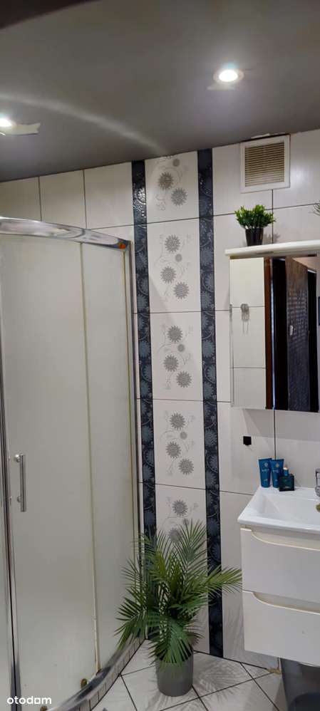 Duże, ustawne trzy pokoje w centrum miasta-9