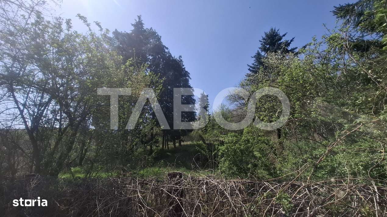 Teren intravilan de vanzare 2700 mp Slimnic Sibiu - Imagine principală: 2/3
