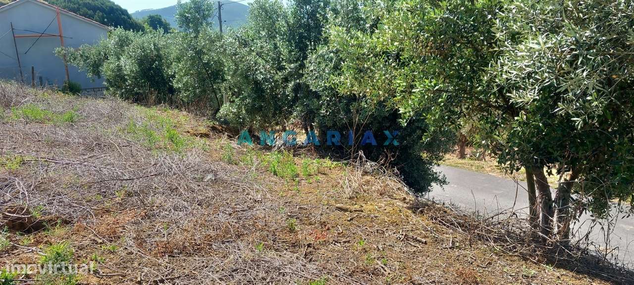 ANG1422 - Terreno de 1264m2 para Venda em Cortes, Leiria - Grande imagem: 5/7