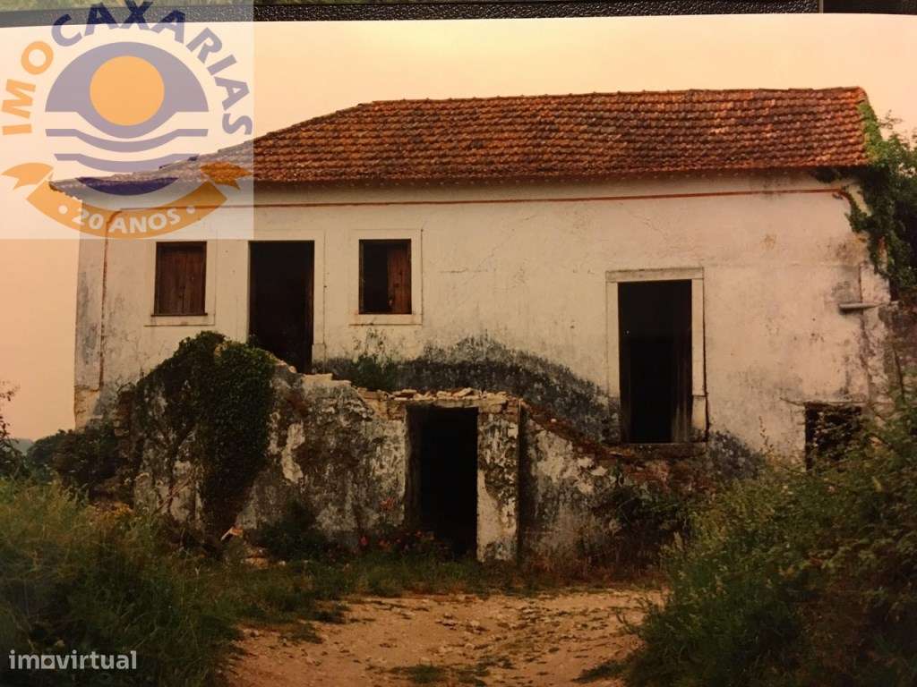 Quintinha para reabilitar T4, com 16 000m2 de Terreno. água em abun... - Grande imagem: 2/9