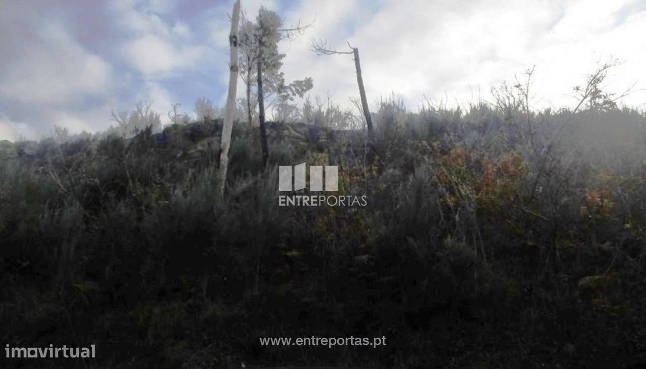 Venda Terreno,São Simão, Amarante - Grande imagem: 5/12