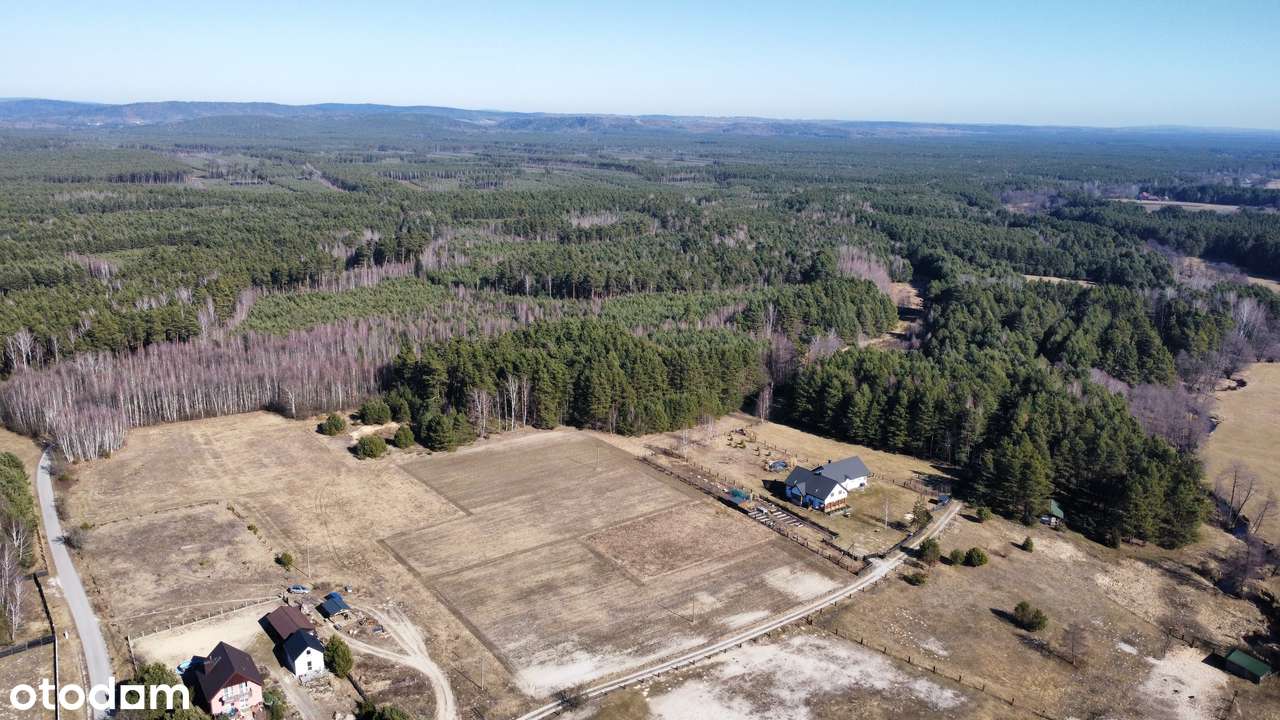 Piękne działki pod samym lasem, Smyków (gm. Raków) - Pełny obrazek: 5/14