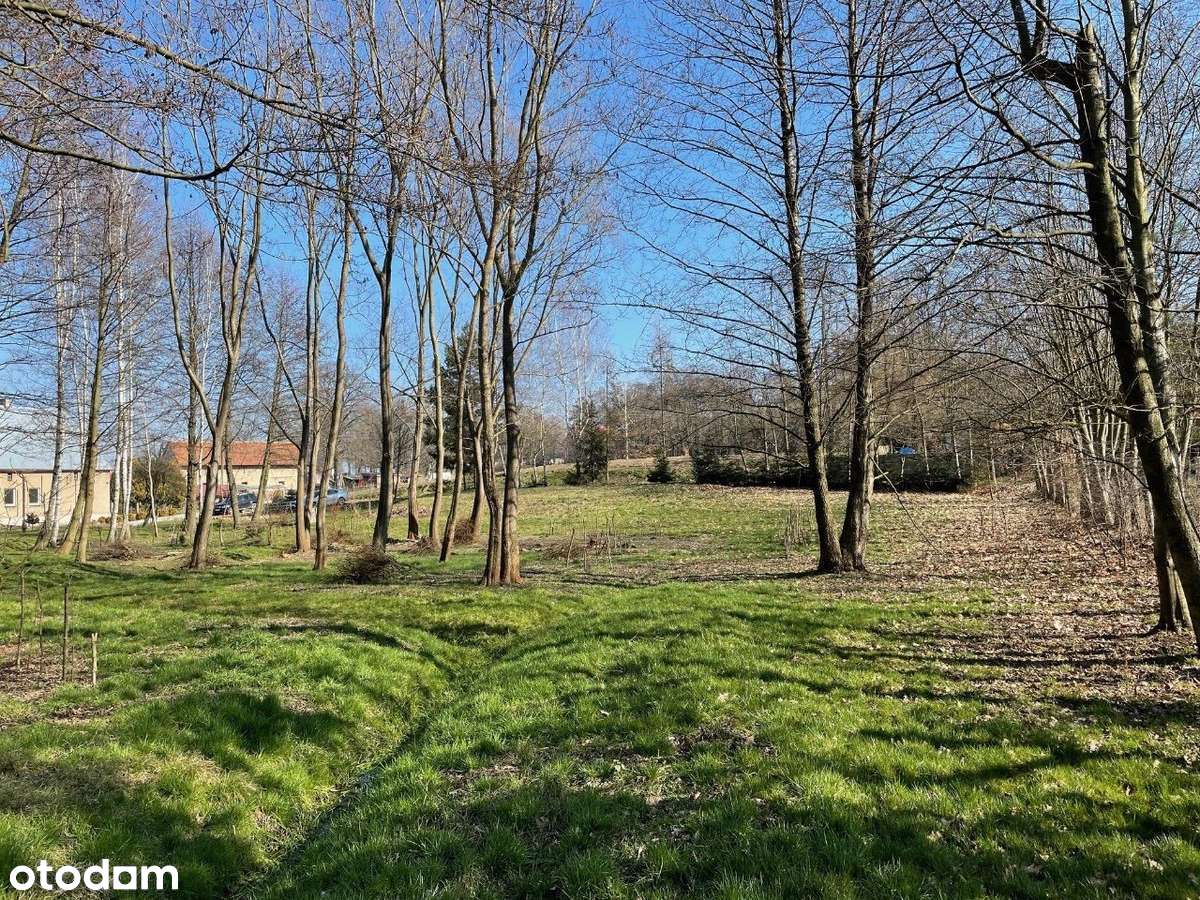 Atrakcyjna działka 30km od Wrocławia - Pełny obrazek: 4/6