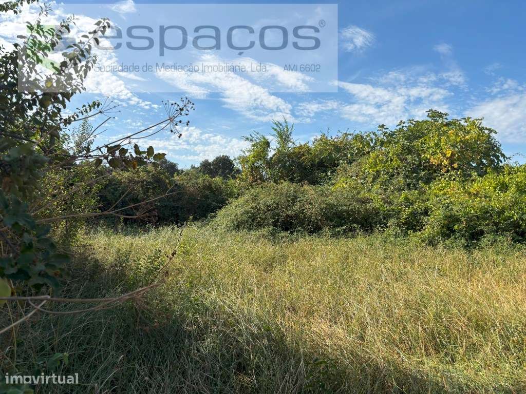 Terreno Rustico - Grande imagem: 4/12