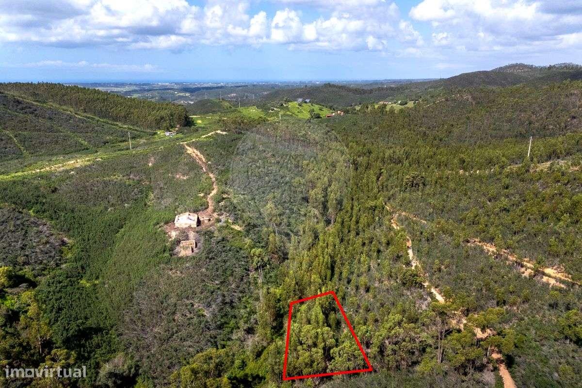 Terreno  para venda - Grande imagem: 3/11