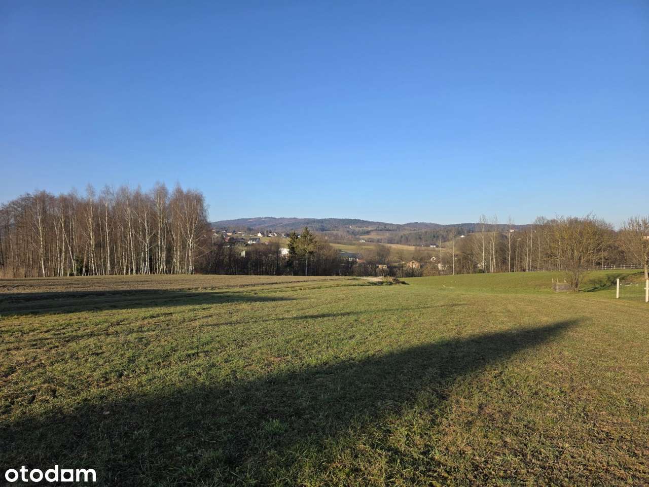 Widokowa działka budowlana 15 arów - Siemiechów, gm. Gromnik - Pełny obrazek: 2/20