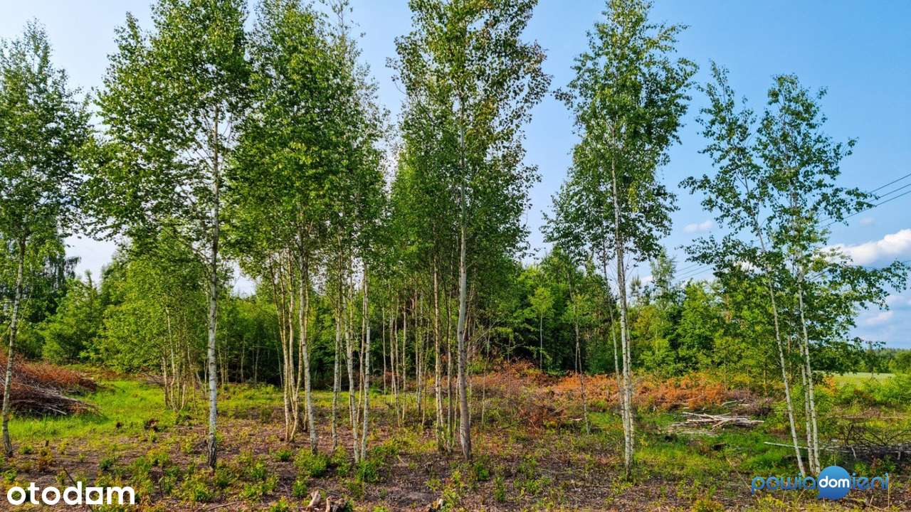 Działki budowlane 8 minut od Radomia (bez prowizji)-0