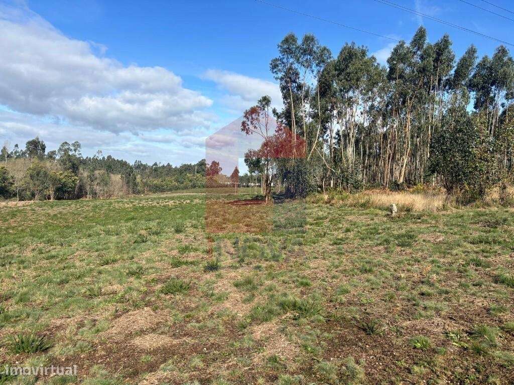 Terreno, Oleiros - Grande imagem: 3/35