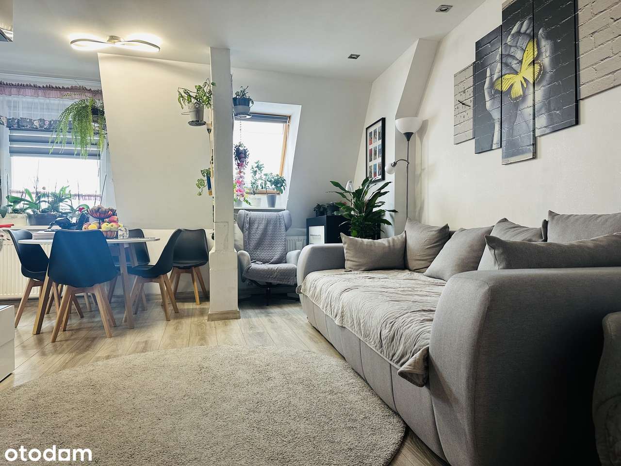 3 pokoje  przy parku Chojnów-5