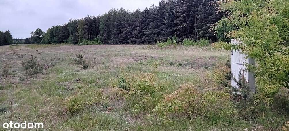 Działka bud. z mediami/30 km od W-wy/otulina lasu-3