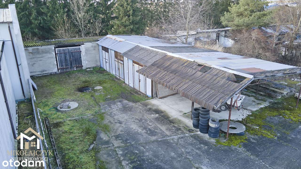 Hala + garaże w Sędławkach / działka 0,31 ha - Pełny obrazek: 4/16