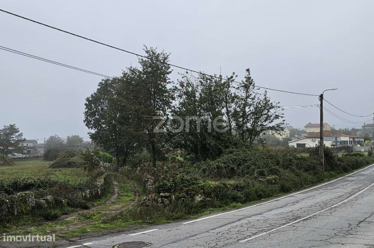 Terreno rústico , em Chã, Alijo. - Grande imagem: 5/6