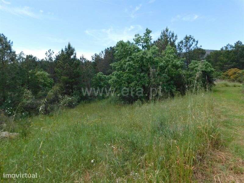 Terreno / Fundão, Vale Prazeres - Grande imagem: 3/11