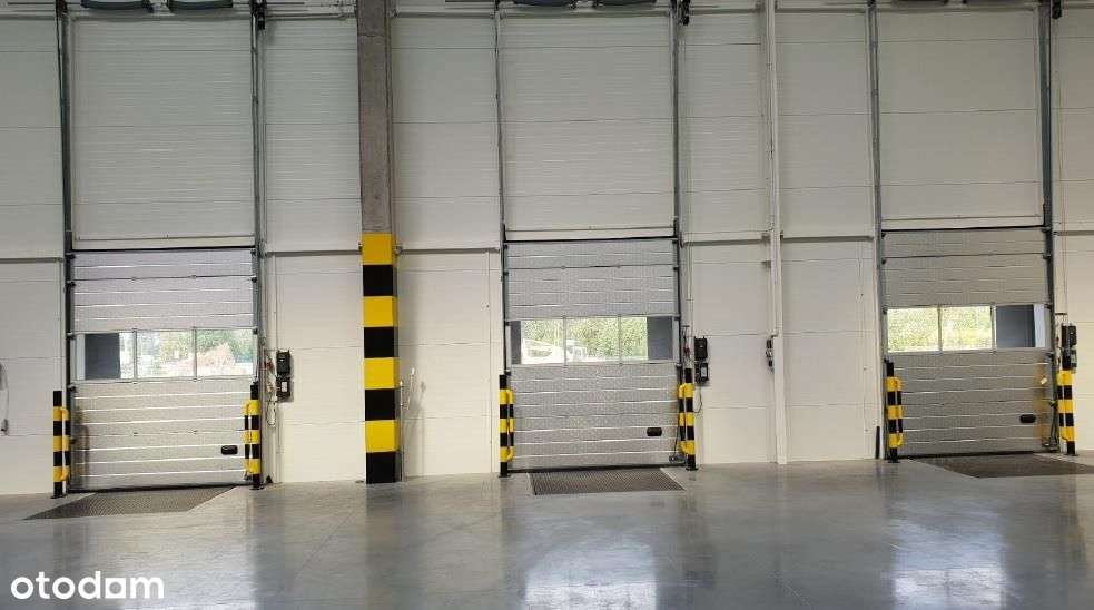 Hala/Magazyn, 4 990 m², Siedlce - Pełny obrazek: 5/6