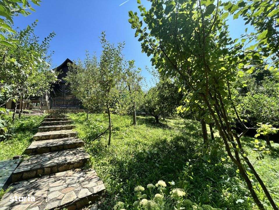 Conacul Mura in Baile Olanesti, O Bijuterie Naturala-13