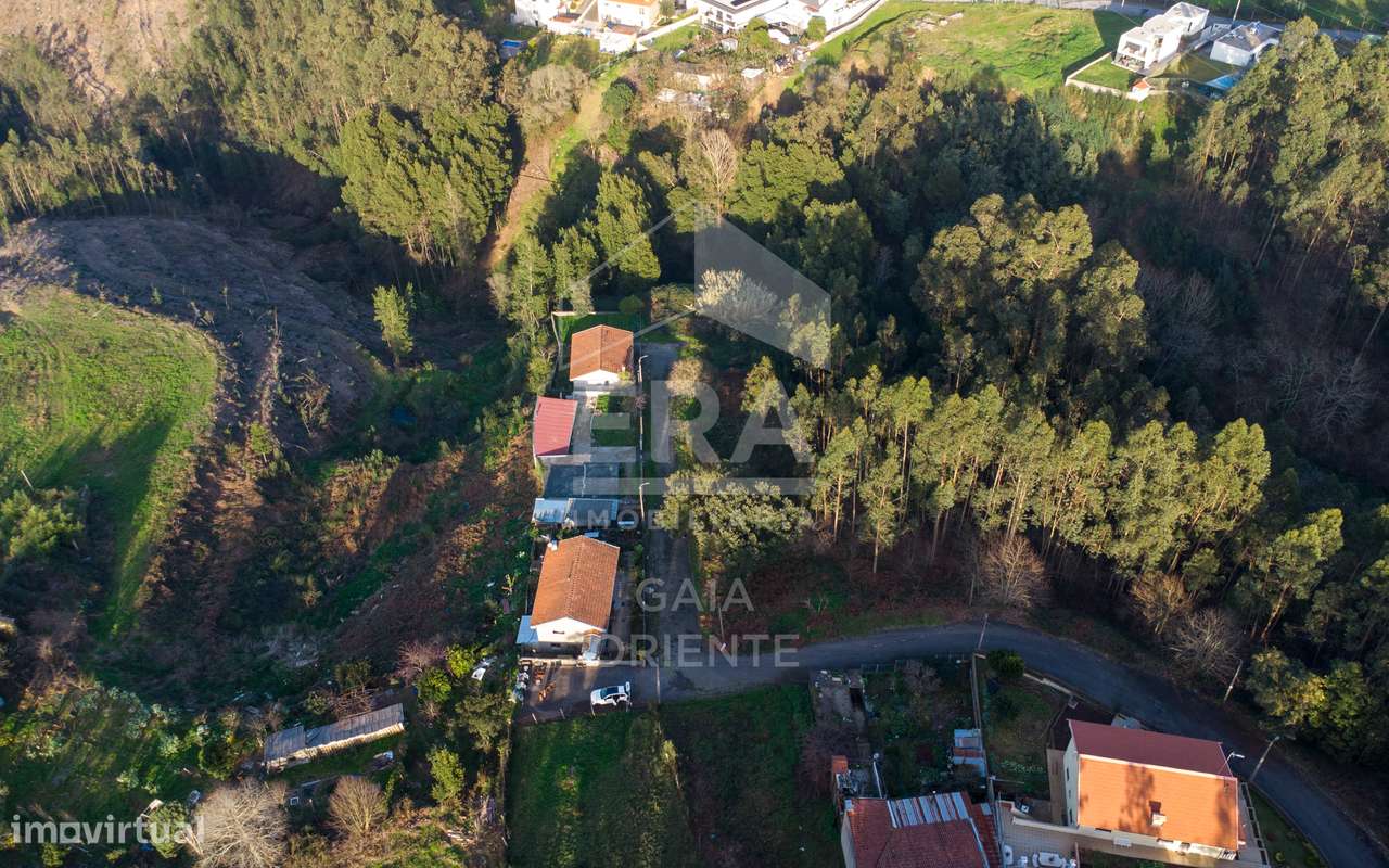 Terreno com 100 metros de frente - Grande imagem: 3/8