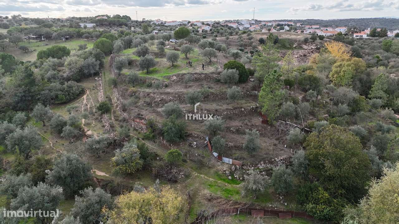 Terreno Rústico  7240 m2 , com água da rede , Ciborro - Grande imagem: 4/13