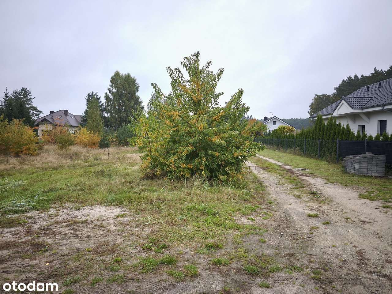 Lubonieczek, bardzo ładna działka, 1619 m2-4