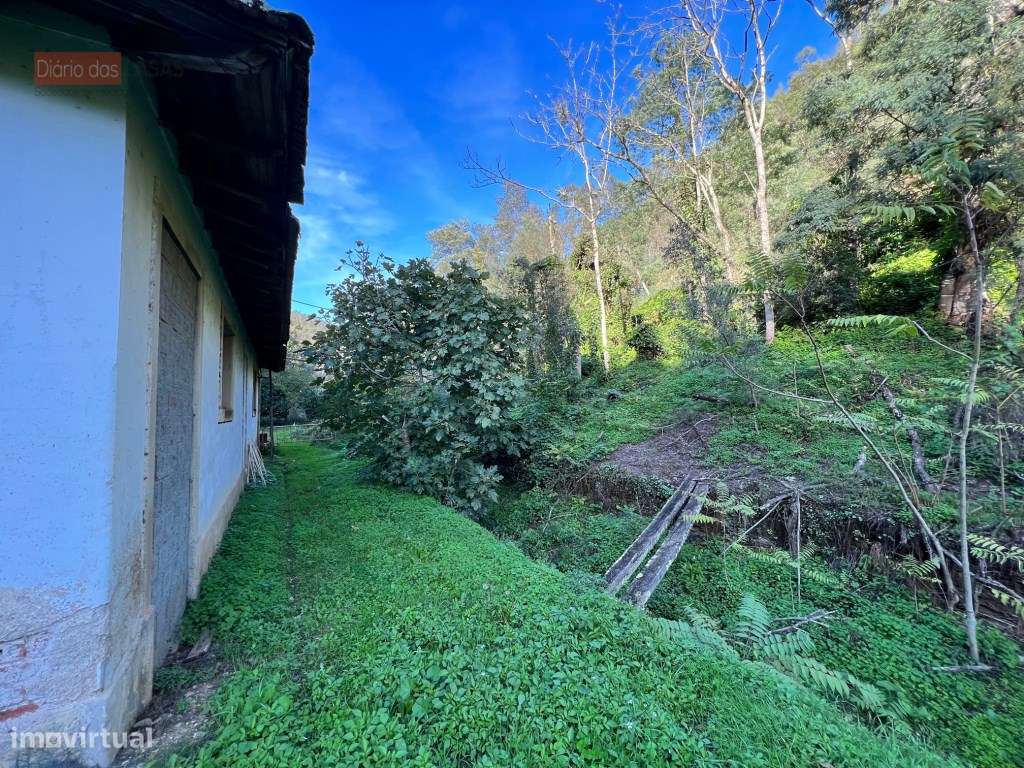 Lagar em Coimbra - Torres do Mondego (Coimbra) Portugal-11