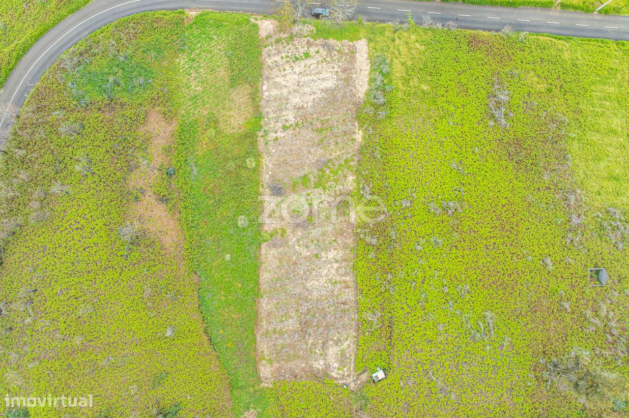 Terreno Rústico plano em Fajã da Ovelha, Calheta - Grande imagem: 2/18