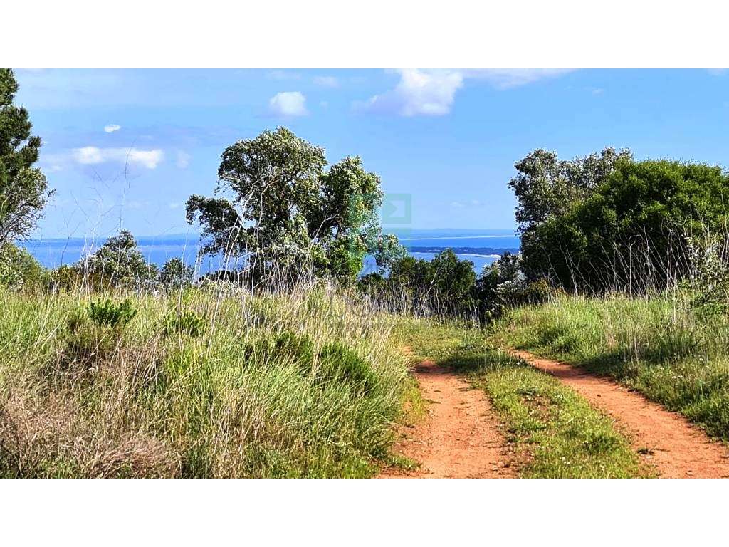 Quinta com 435.487 m2 na Serra da Arrábida, em Palmela, Setúbal-21
