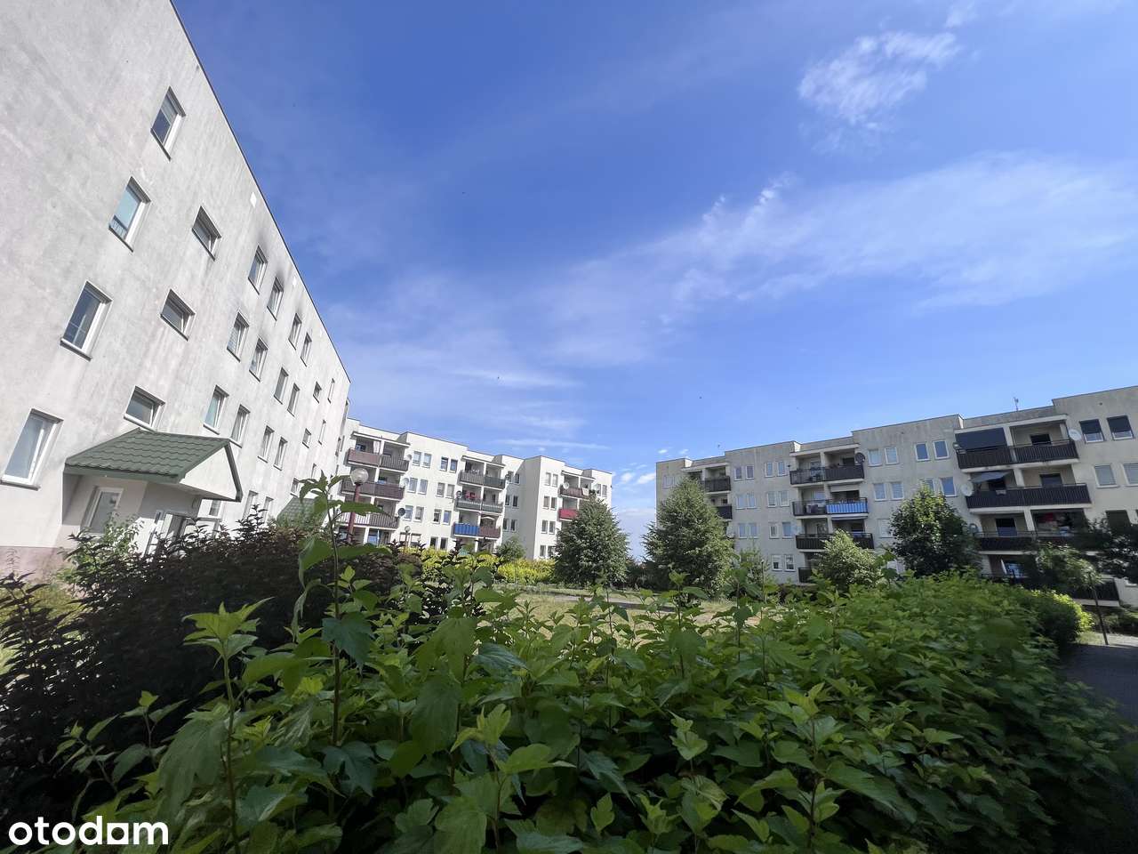 Sprzedam ustawne 2-pokojowe mieszkanie OS. Wyzwolenia Turek-10