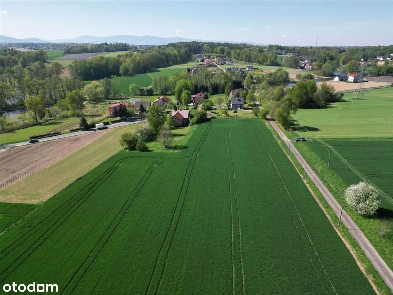 Działka Usługowa Z Mpzp - Pełny obrazek: 4/8