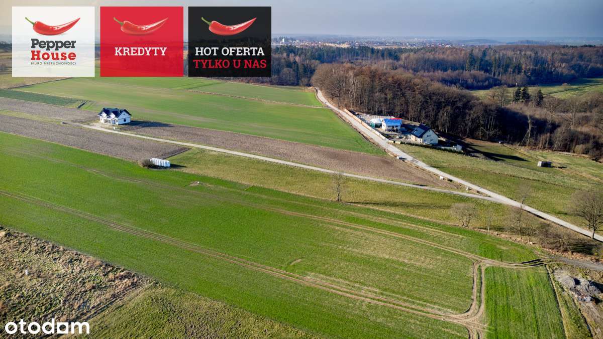 Działka blisko morza! Osłonino - Pełny obrazek: 3/17