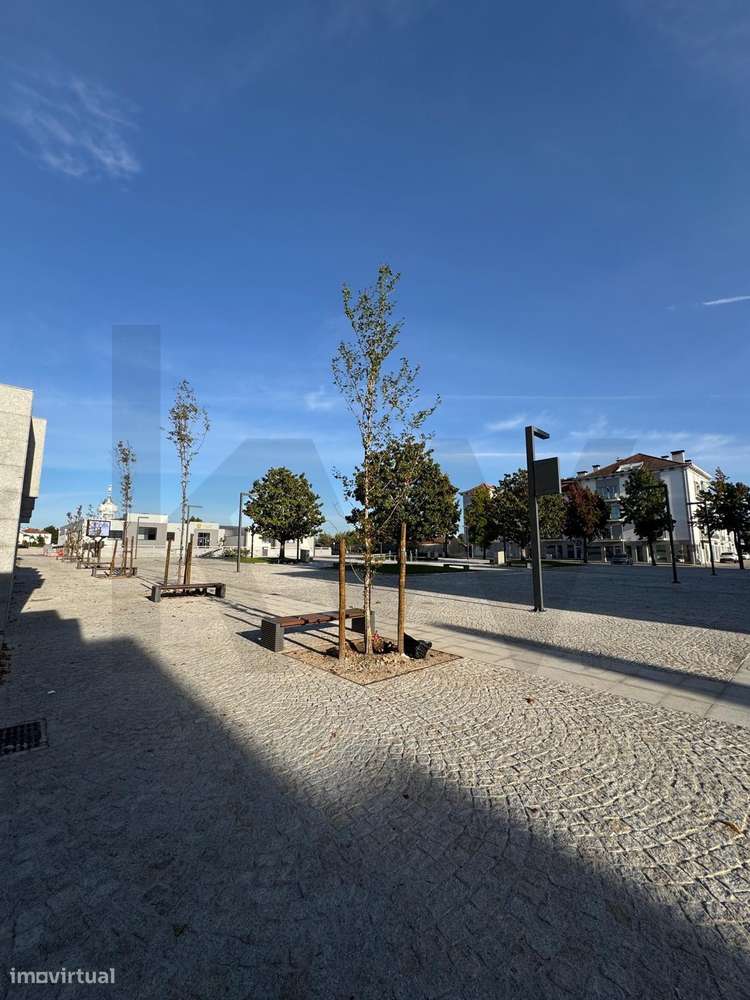 Oportunidade Única de Investimento em Carregal do Sal-16