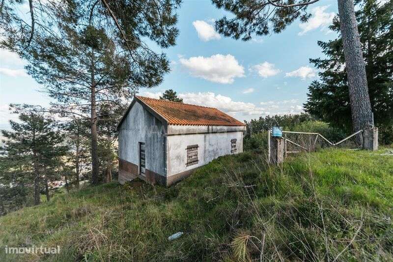 Quinta T3 / Covilhã, Cantar - Galo - Grande imagem: 2/20